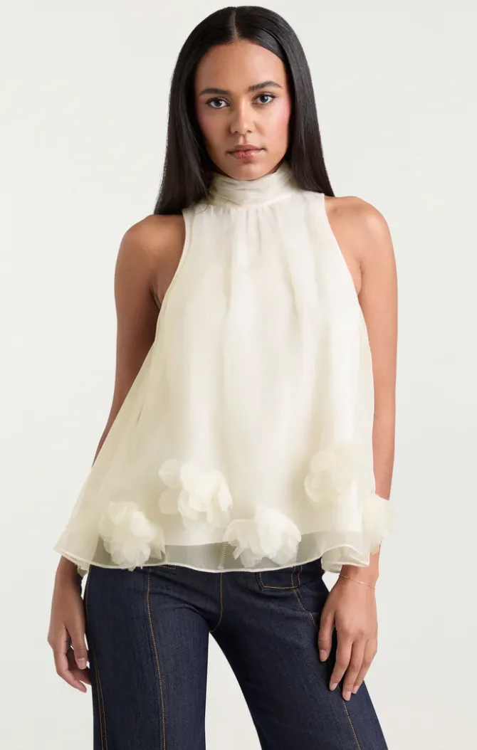 deanna top