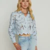 Seychelle Lace Cropped Blouse in blue fog
