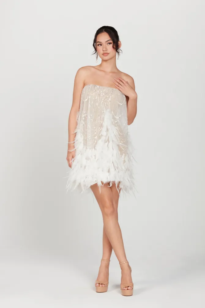 Stevie Strapless Feather Dress