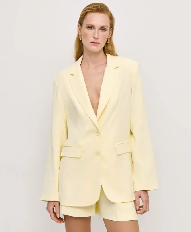 Zemira Blazer
